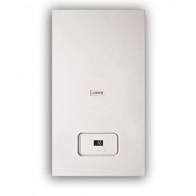 Настенный газовый котел Protherm Рысь К 30 MKO