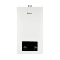 Настенный газовый котел Arideya 10 FF